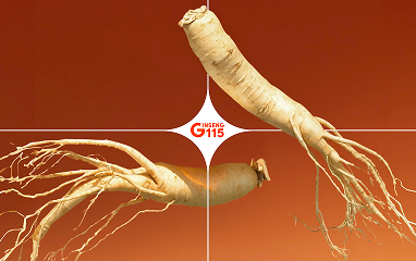 Dui a ut felis libero. Nisi quis commodo ullamcorper quis ornare varius