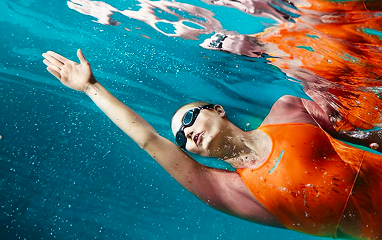 Commodo ultrices sollicitudin proin metus