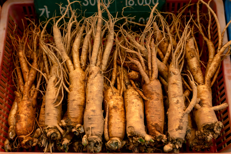 ¿Para qué sirve el Ginseng G115? Descubre sus beneficios sostenidos